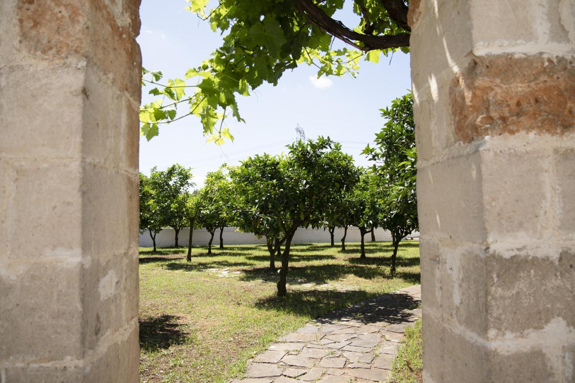 Masseria Palmo Francavilla Fontana Exterior photo